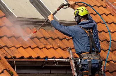 Démoussage et hydrofuge de toiture à Burdignin